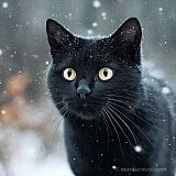 Dies und das – einfach Bilder, einfach anders.