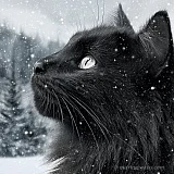 Dies und das – einfach Bilder, einfach anders.