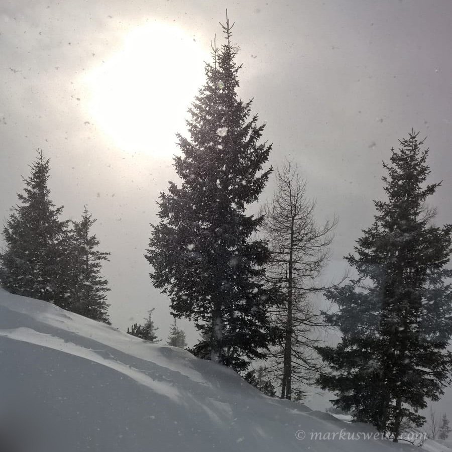 Salzburg – Natur, Kultur, Vielfalt.